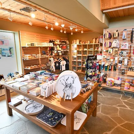 假日公园 基尔皮雅文雷凯里克库斯山林小屋