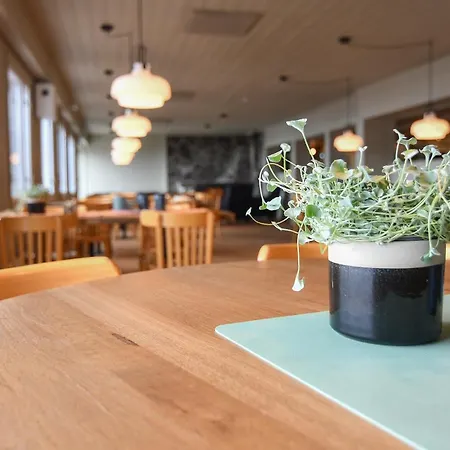 基尔皮雅文雷凯里克库斯山林小屋